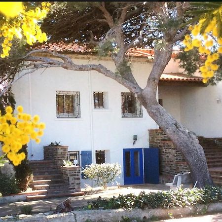 Villa Bleue - Les Pins Порт Вендрес Екстериор снимка