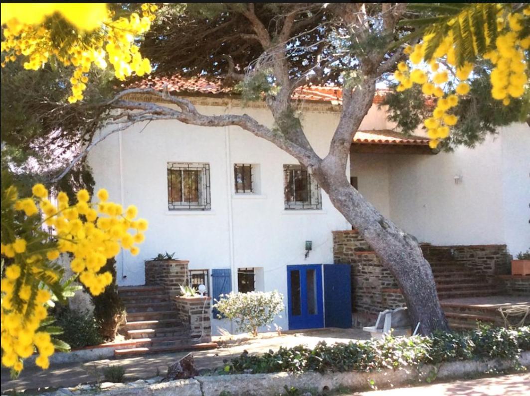 Villa Bleue - Les Pins Порт Вендрес Екстериор снимка