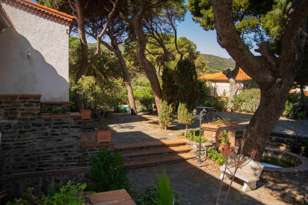 Villa Bleue - Les Pins Порт Вендрес Екстериор снимка