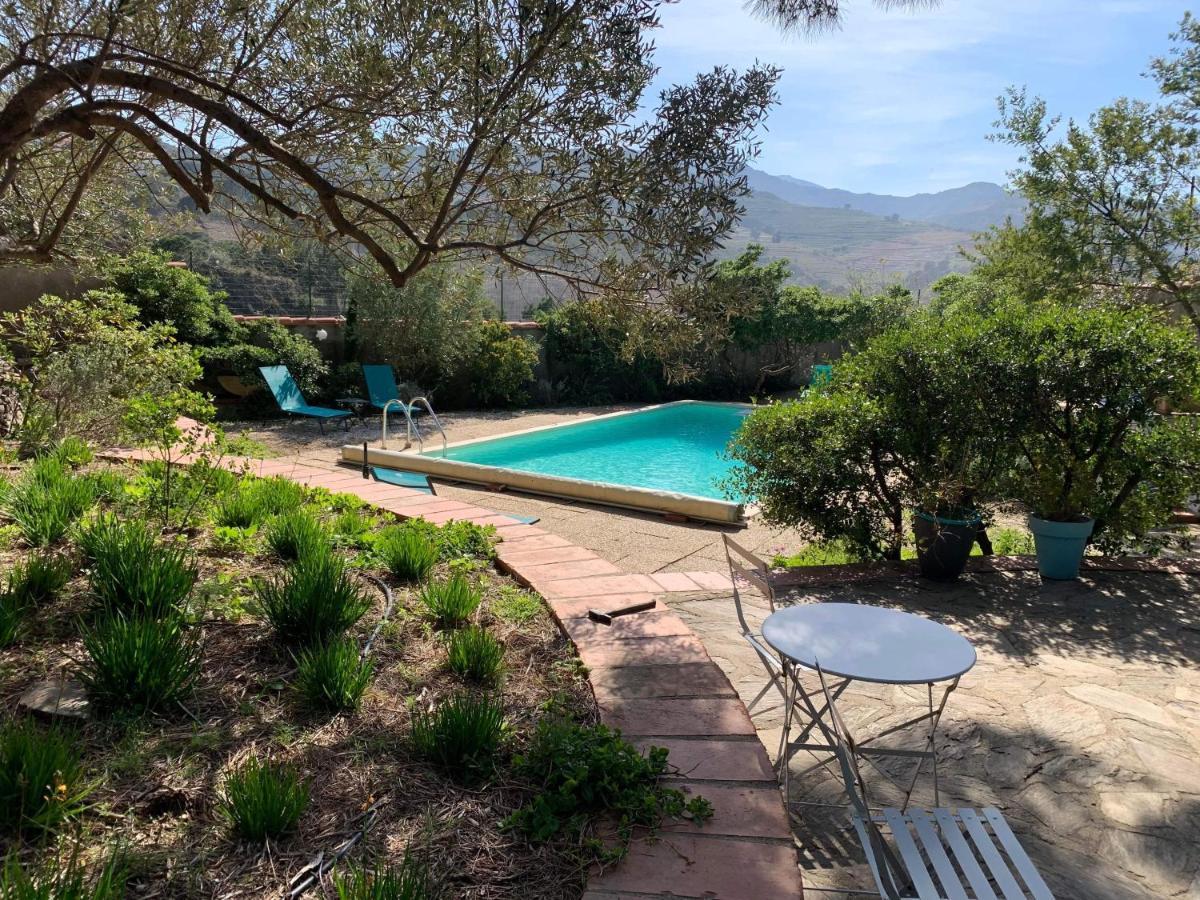 Villa Bleue - Les Pins Порт Вендрес Екстериор снимка